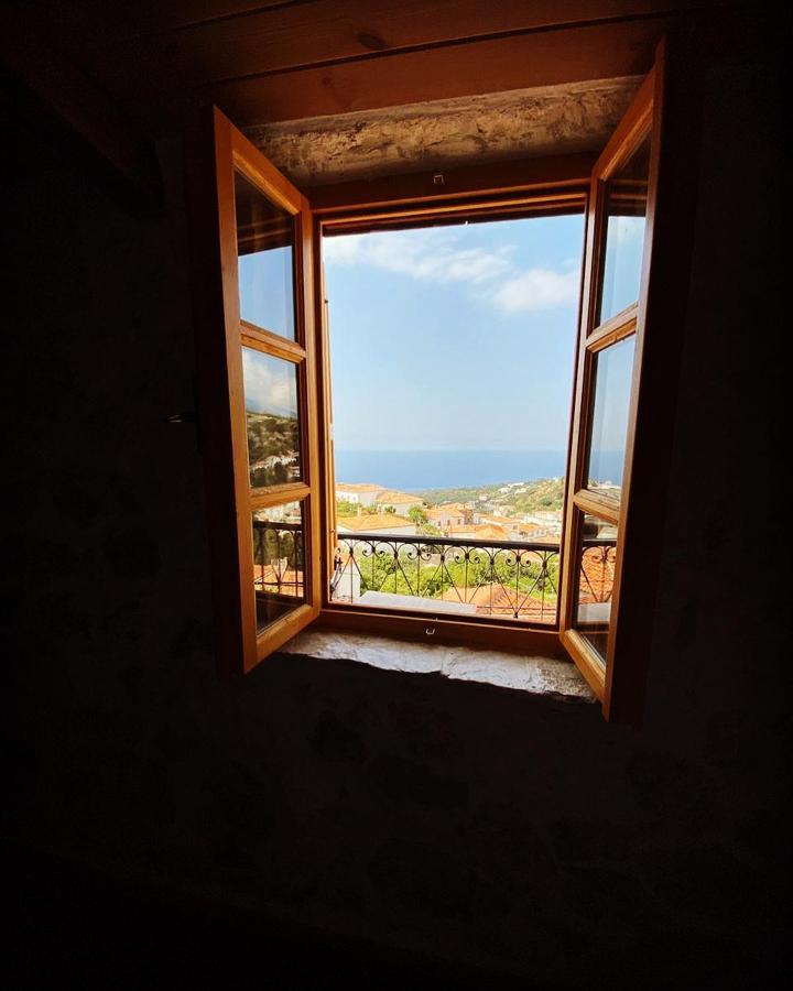 Roots Dhermi